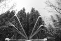 Snowy bridge in forest