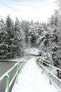 Snowy bridge in the forest