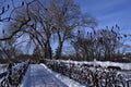 Snowy bridge in Olbrich Garden of Madison, Wisconsin, USA Royalty Free Stock Photo