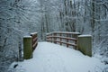 Snowy bridge in the Reedcorner - coloured winter image