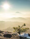 Snowy bush at rocky edge, chill misty morning in hilly landscape Royalty Free Stock Photo