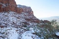 Snowy Cactus in Phoenix