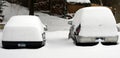 Snowy Cars