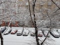 Snowy cars