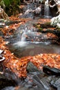 Snowy cascading water