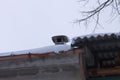 Snowy chimney of an old building Royalty Free Stock Photo