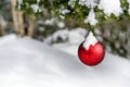 Snowy Christmas Decoration Hanging off a Tree Royalty Free Stock Photo