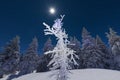 Snowy Christmas landscape. Moonlight night. Winter forest in snow. Full moon and starry sky. Royalty Free Stock Photo