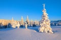 Snowy Christmas trees stand on the lawn under the sun. The high mountains are covered with snow. A beautiful winter day. Royalty Free Stock Photo