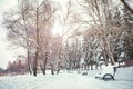 snowy alley in the park after snowfall, trees and benches in the snow. Royalty Free Stock Photo