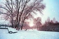 snowy alley in the park after snowfall, trees and benches in the snow. Royalty Free Stock Photo