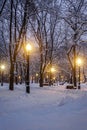 Snowy city park on a winter night Royalty Free Stock Photo