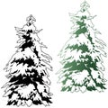 Snowy Coniferous Tree