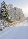 Snowy countrside road