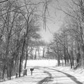 Snowy country driveway Royalty Free Stock Photo