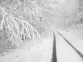 Snowy country lane Royalty Free Stock Photo