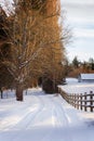 Snowy Country Lane and Fence Royalty Free Stock Photo