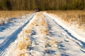 Snowy country lane Royalty Free Stock Photo