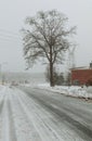 Snowy country lane on an overcast winter day Royalty Free Stock Photo