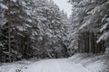 Snowy country road trough winter forest Royalty Free Stock Photo