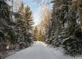 Snowy country road, winter landscape, winter road and snow-covered trees, winter in Latvia Royalty Free Stock Photo