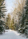 Snowy country road, winter landscape, winter road and snow-covered trees, winter in Latvia Royalty Free Stock Photo