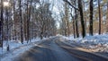 Snowy country road in winter in the Netherlands Royalty Free Stock Photo