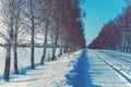 Snowy country road on a winter sunny day Royalty Free Stock Photo