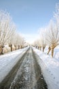 Snowy countryroad the Netherlands