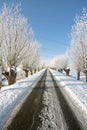 Snowy countryroad, in the Netherlands Royalty Free Stock Photo