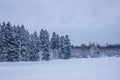 Snowy Countryside and Winter Forest Royalty Free Stock Photo