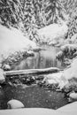 Snowy creek at Gold Creek Pond in Snoqualmie Pass