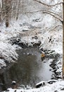 Snowy Creek Royalty Free Stock Photo
