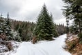 Snowy crossroads in the middle of the winter forest