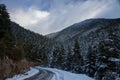 Snowy curved road on a mountain with fir trees on each side and clouds in the sky Royalty Free Stock Photo