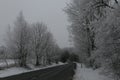 Snowy curvey road to the forest in winter in Lithuania.Landscape