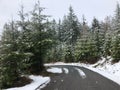 Snowy curvy highway road through an evergreen forest