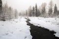 Snowy day around Whistler Village - Fitzsimmons Creek