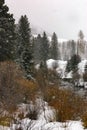 Snow falling on the banks of a river near Vail, Colorado Royalty Free Stock Photo
