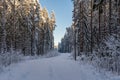 Snowy dirt road in a snow covered winter forest in Sweden Royalty Free Stock Photo
