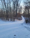 Snowy drive