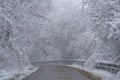 Snowy driveway and fog. Mountain road in Georgia trees covered by snow. Winter forest after snowfall Royalty Free Stock Photo