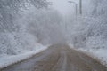 Snowy driveway and fog. Mountain road in Georgia trees covered by snow. Winter forest after snowfall Royalty Free Stock Photo