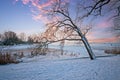 Snowy dutch landscape in winter in the Netherlands