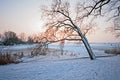 Snowy dutch landscape in winter in the Netherlands