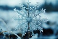 Snowy elegance: close up snowflake on frosty background