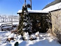 A Snowy English Country Garden Crookham, England Royalty Free Stock Photo