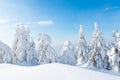 Snowy evergreens set against a mountainous backdrop