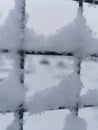 Snowy fence grid