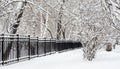 Snowy fence